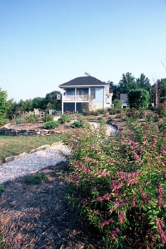 Cottage Garden