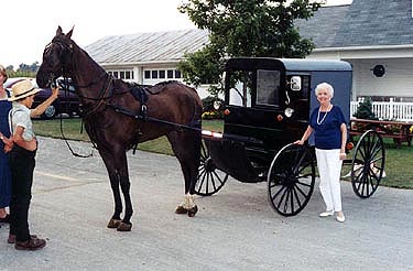 Dutch Pride Guest House and Bed & Breakfast - Manheim (Lancaster County), Pennsylvania
