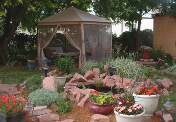 Back Yard Garden