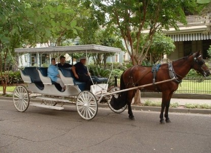 Devereaux Shields House, Natchez, MS, horse carriage