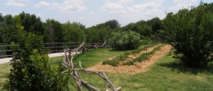 Elm Creek Manor Spa Resort, grounds