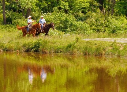 Marriott Ranch & Inn at Fairfield Farm, horses 