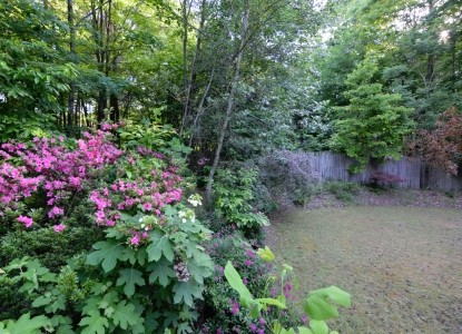 Pilot Knob Inn flowers