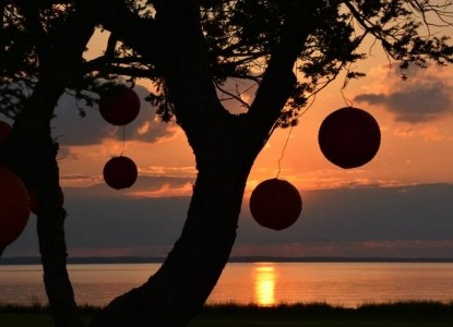 Black Walnut Point Inn tree