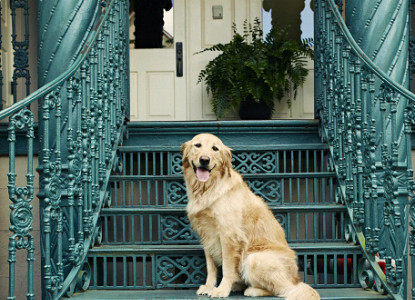 John Rutledge House Inn-Kids with dog