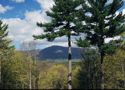 The 2 of You will be my ONLY guests!  Private romantic suite for two between Woodstock & Saugerties.