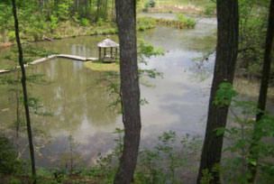 Pilot Knob Inn Lake view through the woods