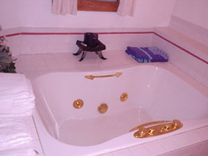 Pilot Knob Inn Whirlpool for two with jets