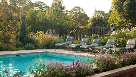 Take A Refreshing Dip In The Pool