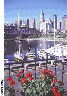 Boston Harbor - Faye Sweet