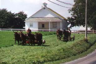 All Seasons Bed & Breakfast Association