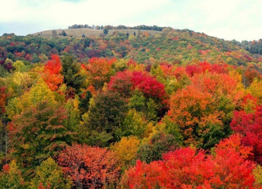 Maggie Valley B&B Association